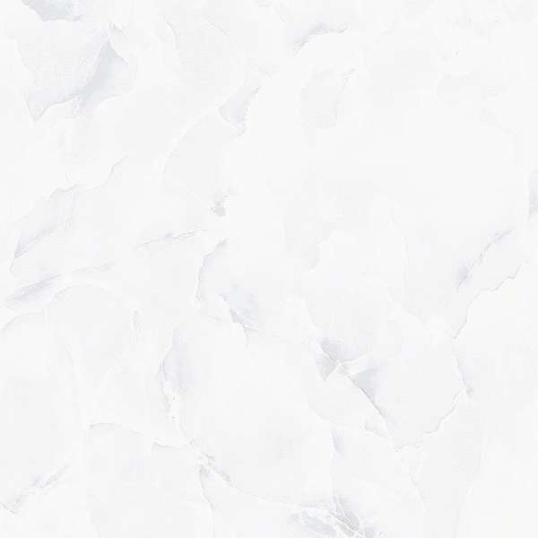 Duro Bianco PGVT  60x60 (600x600)