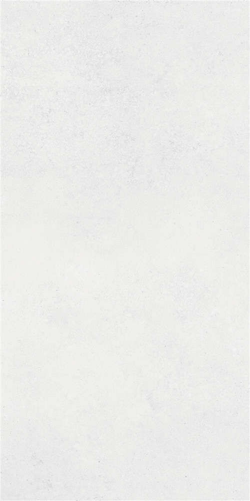 Mat White Rect.Por.Tile  (600x1200)