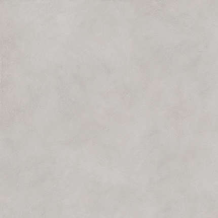 АБК Alterego Ash Nat R 60x60