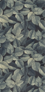 Foliage ret (600x1200)