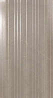 Silver Stripe (305x560)