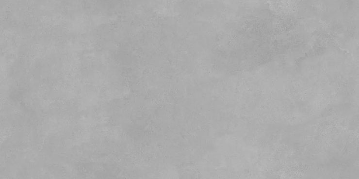 ЭйВиЭс Analiya Grey матовый 60x120