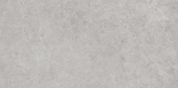 ЭйВиЭс Antica Silver Lappato 60x120