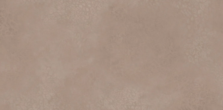 ЭйВиЭс Avanti Brown Grain 600x1200