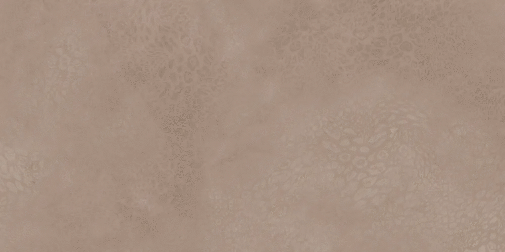 Brown Grain 600x1200 (1200x600)