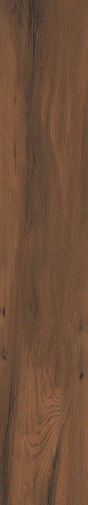 Brown Punch 20x120 (200x1200)