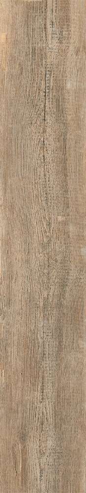 Forest 20x120 (200x1200)