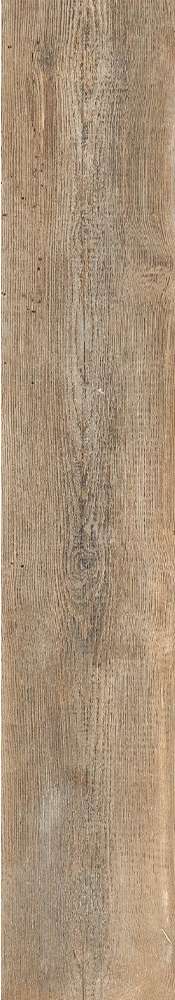 Forest 20x120 (200x1200)