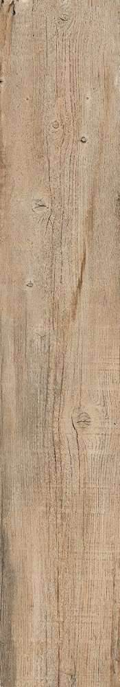 Forest 20x120 (200x1200)