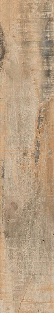 Forest 20x120 (200x1200)