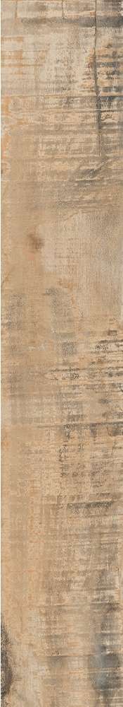 Forest 20x120 (200x1200)