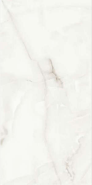 R0017-GL Керамогранит AVS Tronco White полированный 600x1200 (600x1200)