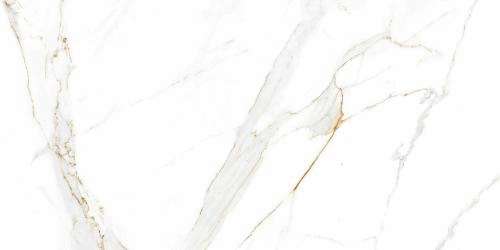 Absolut Gres Regal Carrara Gloss 120x60