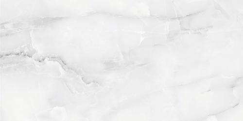 Absolut Gres Snow Onix Grey Gloss 120x60