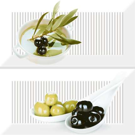 Absolut Keramika Biselado Brillo Blanco Decor Olives C