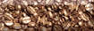 Плитка настенная Absolut Keramika AK0571 Decor Coffee Beans 01 10x30 (300x100)