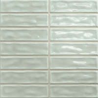 Fern 20x20 (200x200)