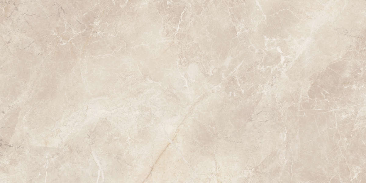 04L Лаппатированный 60x120 (1200x600)