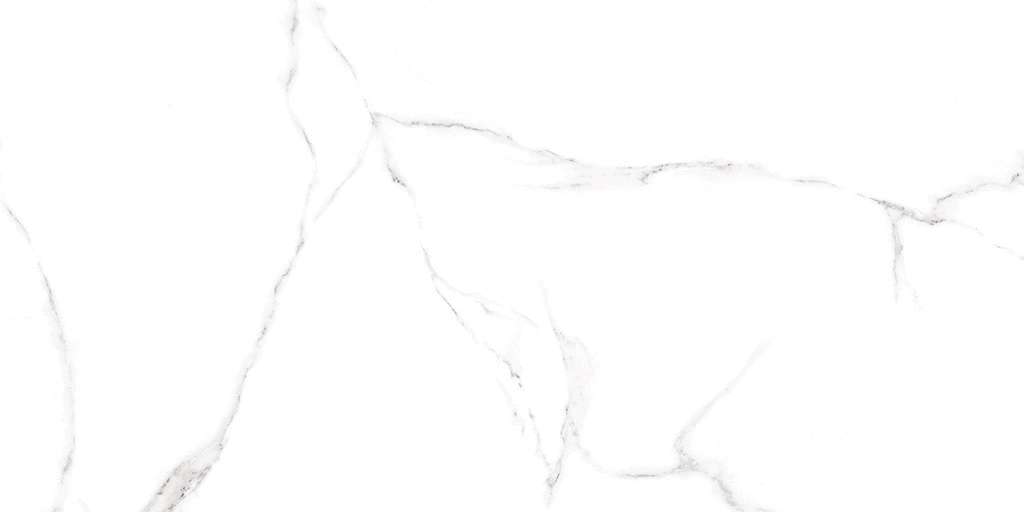 Alma Ceramica Carrara   120x60 -2