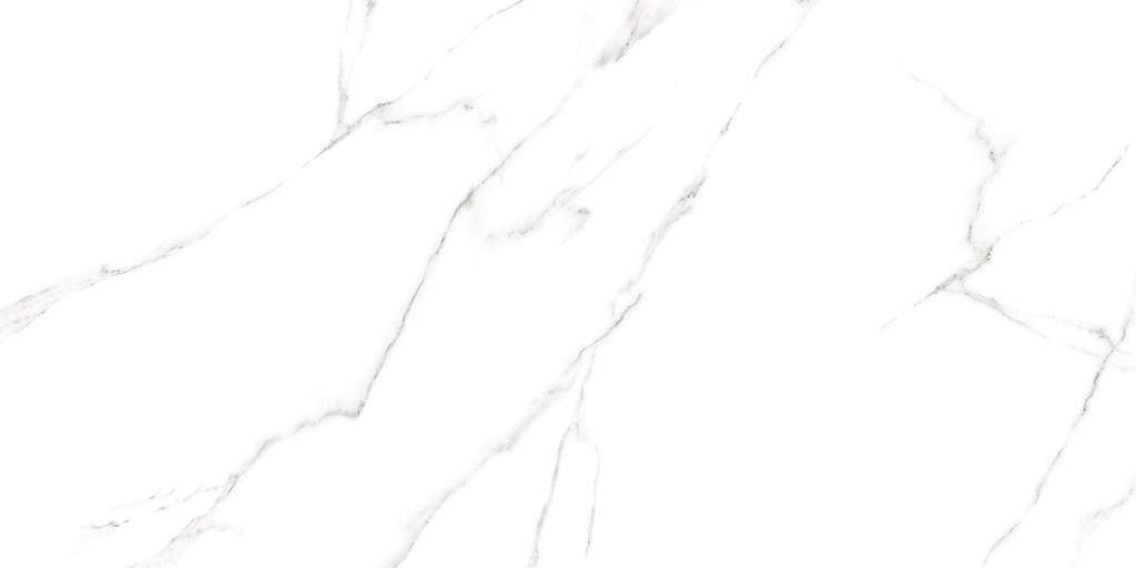 Alma Ceramica Carrara   120x60 -5