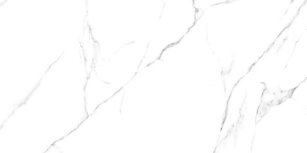 Alma Ceramica Carrara   120x60 -7