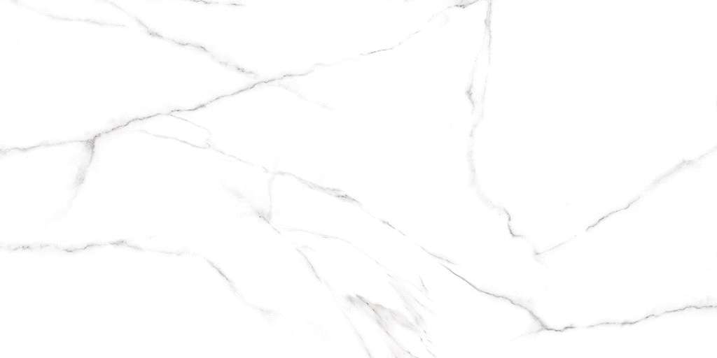 Alma Ceramica Carrara   120x60 -8