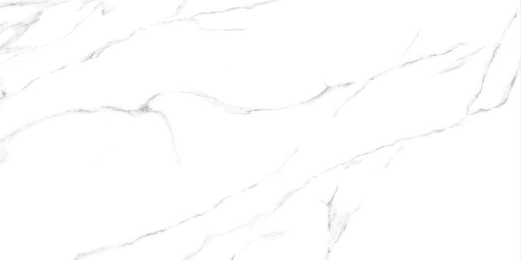 Alma Ceramica Carrara   120x60 -9