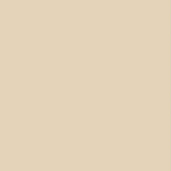 50R Матовый 60x60 (600x600)
