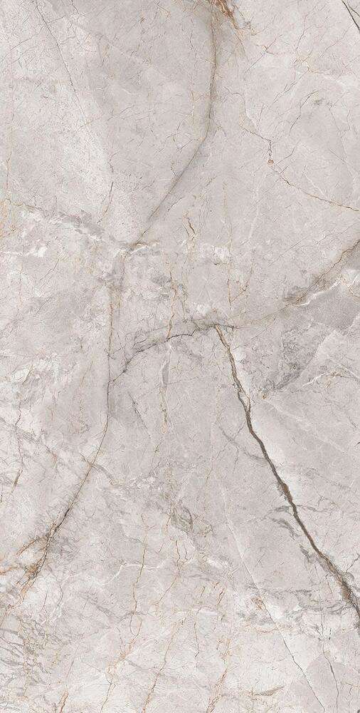 Alpas Premium Marble Marble Dragon Grey Silk 60x120 -4