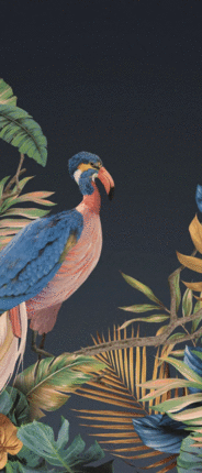 Апе Atelier Maui Decor 2 120х280