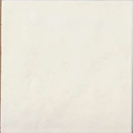 Апе Contemporary Coconut Milk 15x15