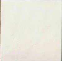 Coconut Milk 15x15 (150x150)