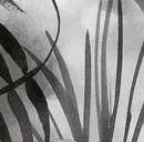 Плитка настенная Carmen A033511 Kasbah Mix Grey 13х13 (130x130)