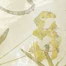 Плитка настенная Carmen Kasbah Mix Ocre 13х13 (130x130)