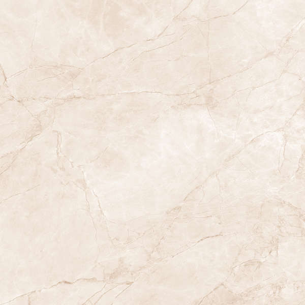 Arcadia Ceramica Arctic Pearl Carving 60x60 фото-4