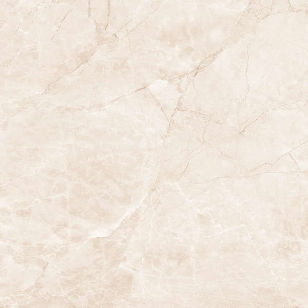 Arcadia Ceramica Arctic Pearl Carving 60x60 фото-5