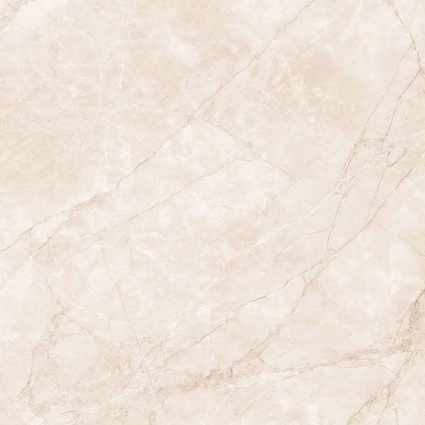 Arcadia Ceramica Arctic Pearl Carving 60x60 фото-6