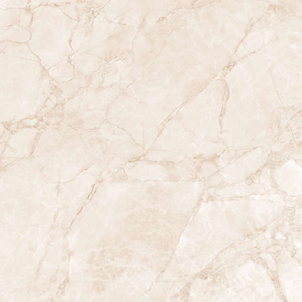 Arcadia Ceramica Arctic Pearl Carving 60x60 фото-7