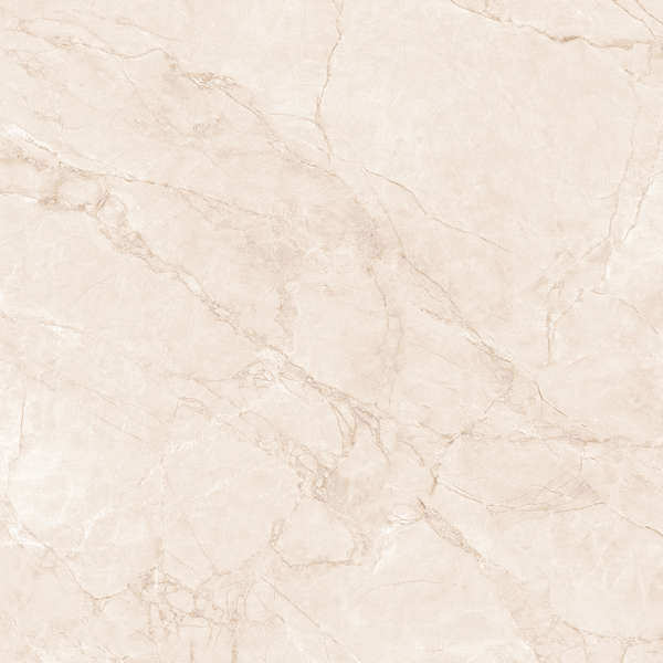 Arcadia Ceramica Arctic Pearl Carving 60x60 фото-9