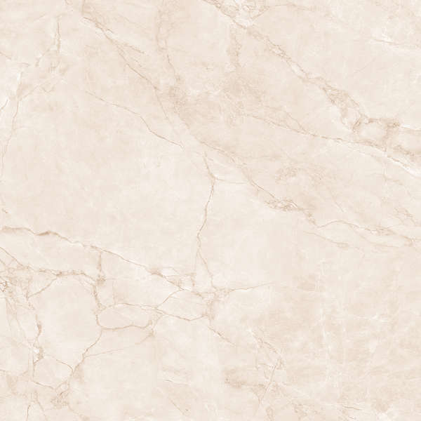 Arcadia Ceramica Arctic Pearl Carving 60x60 фото-11