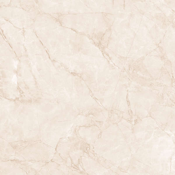 Arcadia Ceramica Arctic Pearl Carving 60x60 фото-12