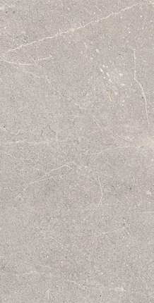Аркадия Керамика Equistone Gris 60x120 Rotto Glossy Ink
