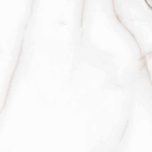 Arcadia Ceramica Feather Onyx Matt Rustic 60x60 фото-3