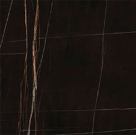 Ariostea Ultra Marmi                 Sahara Noir Lev Silk 120x120