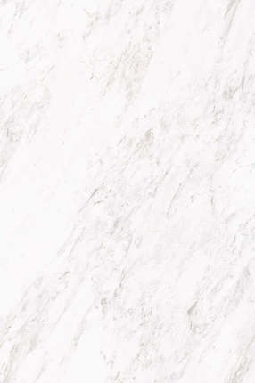 Artcer 1XL Rok Carrara White Matt 180x120