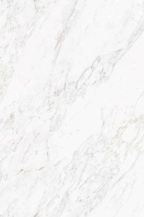 Artcer 1XL Rok Carrara White 180x120