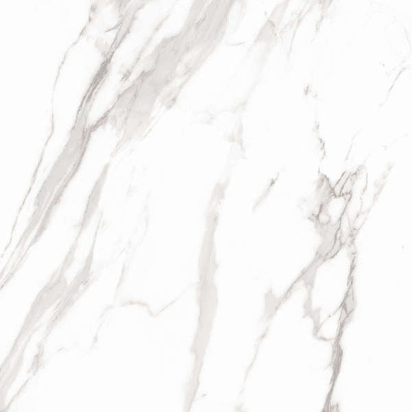 Artcer Marble Royal White 60x60 -9