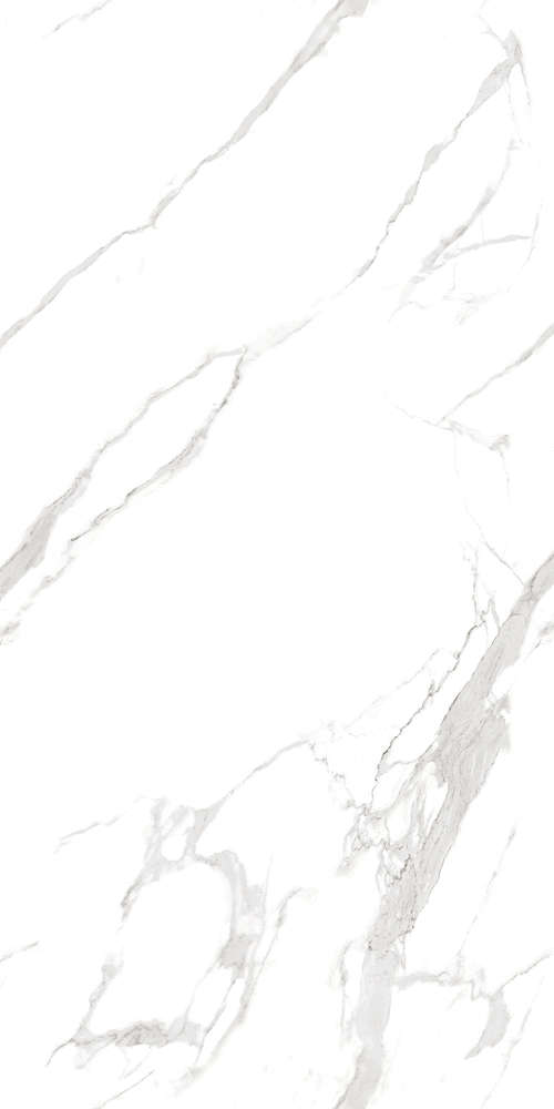 Artcer Marble Statuario Fantastico 120x60 -4
