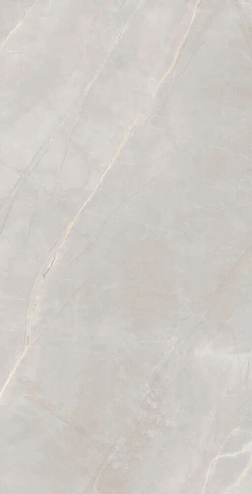 Artcer Marble Royalish Grey Slim 120x60 -6