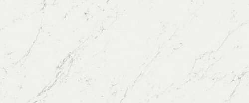 Carrara Pure 50x120 (1200x500)
